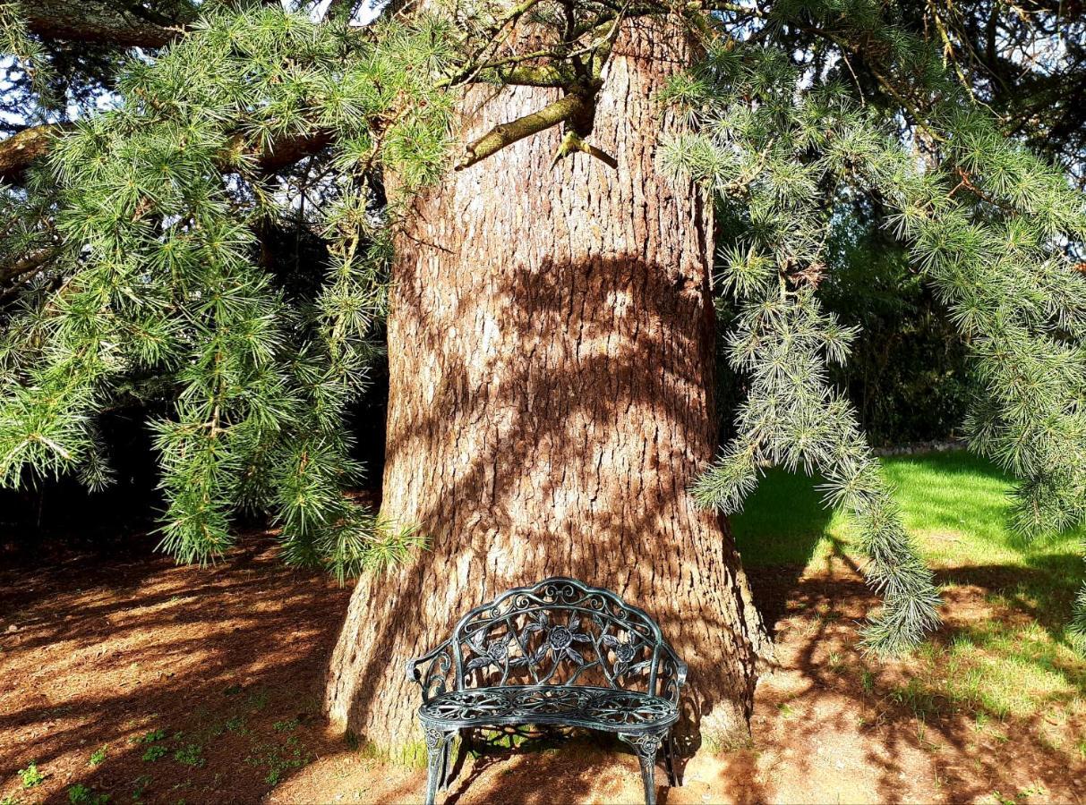 Domaine De Garat Bed & Breakfast Floirac  Exterior foto