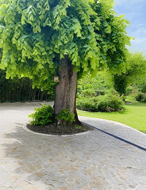 Domaine De Garat Bed & Breakfast Floirac  Exterior foto